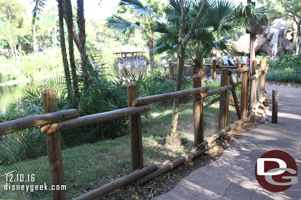 Walking along the trail behind the Tree of Life (this connects to the bugs exit area and was closed on my previous trip.