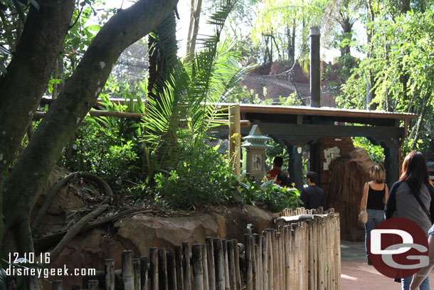 Lion-Tailed Macaques are now on the Jungle Trek in Asia, in a new enclosure right before the bats.