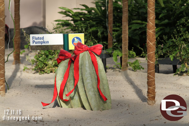 Some Christmas decorations in the land greenhouses