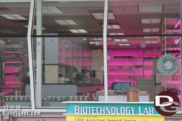 Snowflakes on the lab window.