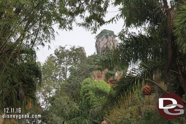 Pandora is visible through the trees near Tiffins