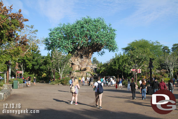 Made it to Discovery Island at 9:26am.. not bad to check out, check bags, drop bags, and take a bus in an hour.