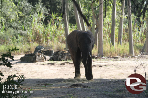 Elephant country.
