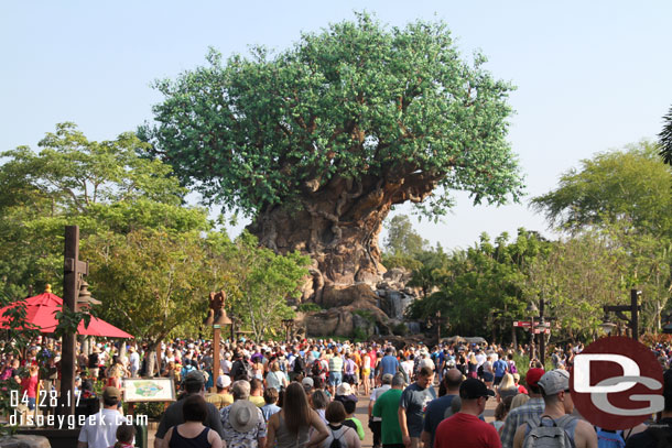 Arrived at Discovery Island about 2 minutes before park opening.  A good crowd was on hand.