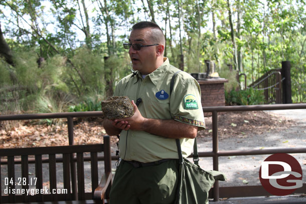 While we watched the elephants our guide talked about how they care for the elephants here at Animal Kingdom and was on hand to answer questions.