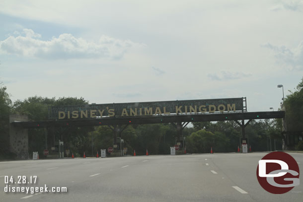 Arriving at Animal Kingdom around 5pm.
