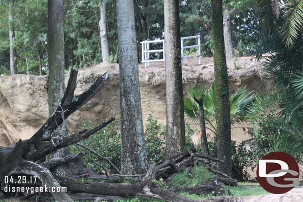 Anyone know what is going on above the Mandrills