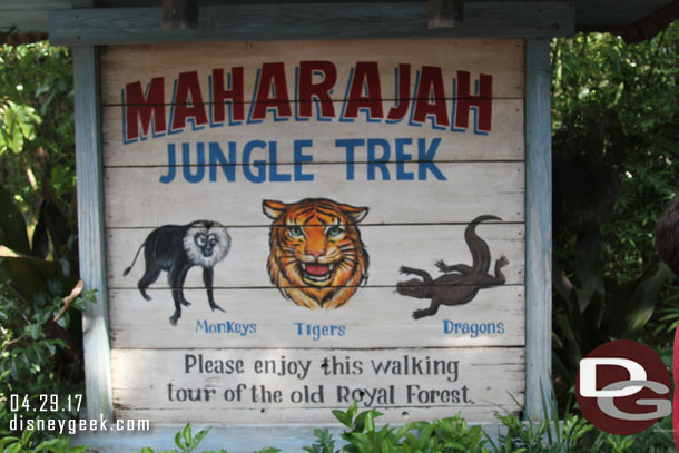 Time for the Jungle Trek