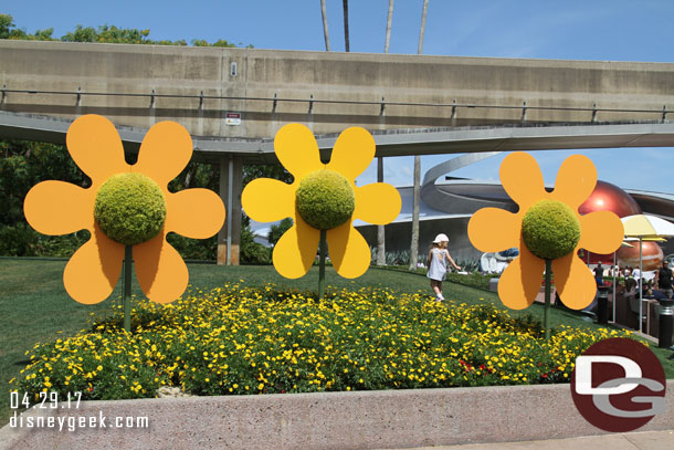 Flowers in Future World.. plus a random kid who was running on the grass.