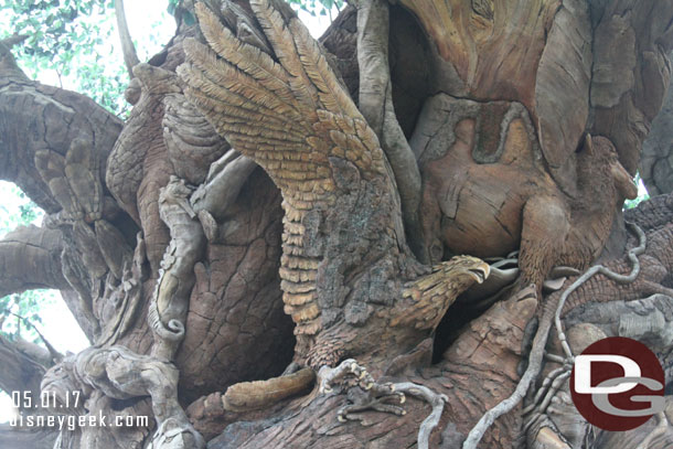 Walked around the Tree of Life Gardens for a while.