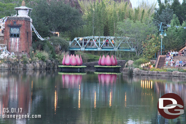 Lotus Blossoms in position for Rivers of Light.