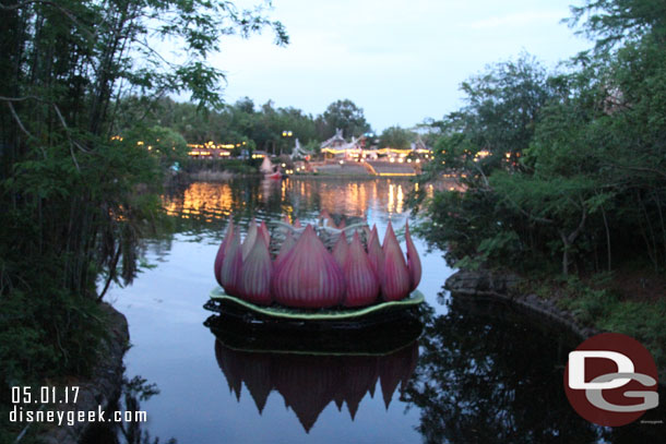 The largest lotus blossom staged for the show.