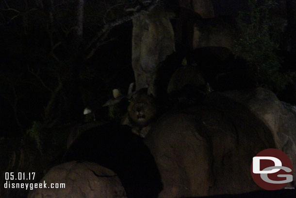 The male lion is up on the rocks, but a little too dark in this photo.