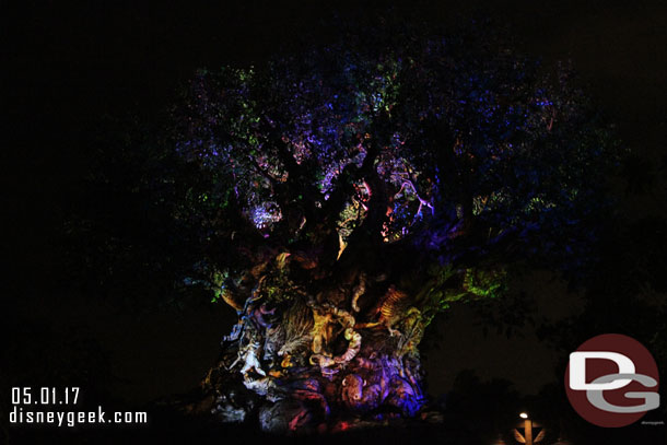 The Tree of Life Awakenings were going on. It was 9pm as I passed by.