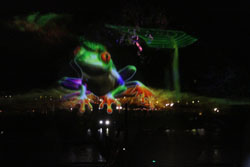 WDW Pictures