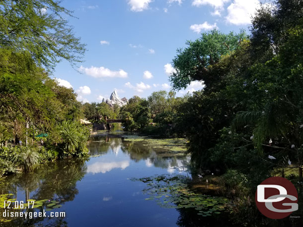 Expedition Everest in the distance.