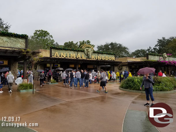 Arrived at the Animal Kingdom just before 10am.