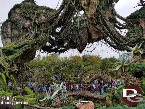 Looking back into the valley from the Flight of Passage FastPass queue