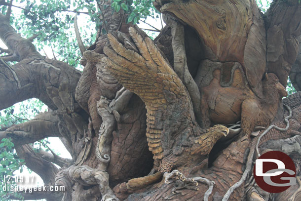 Walked by the Tree of Life on my way to the other side of Discovery Island.