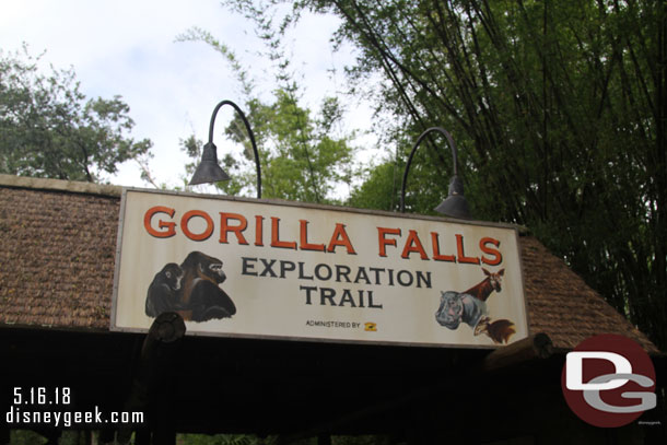 I opted to go see the gorillas and hope the line was shorter later in our window.