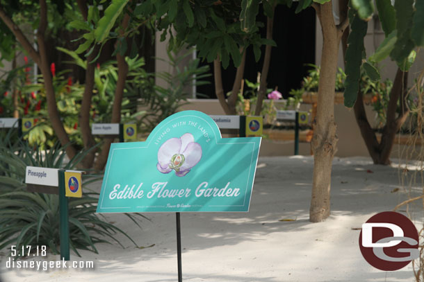 Some signs for the festival throughout the green houses.