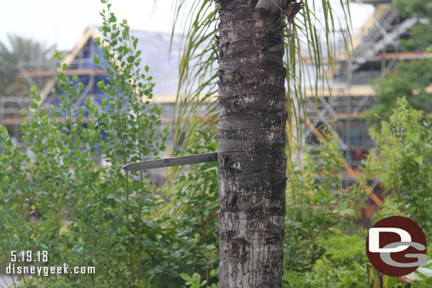 A random sword in one of the palm trees.