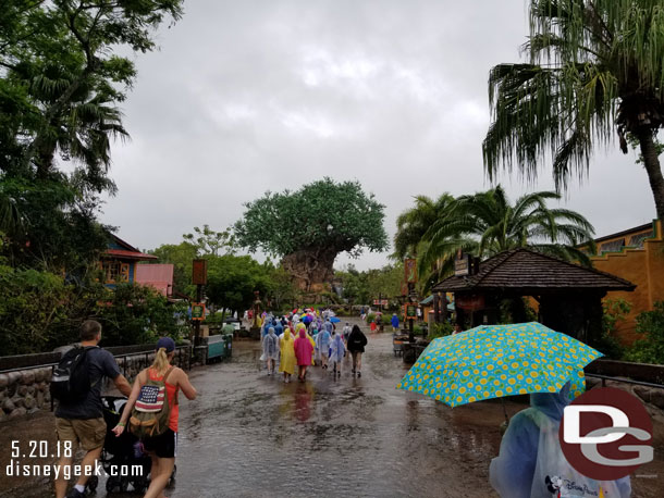 Arriving at a soggy Animal Kingdom.