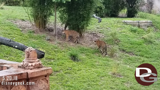 Mom had enough and headed up the path.