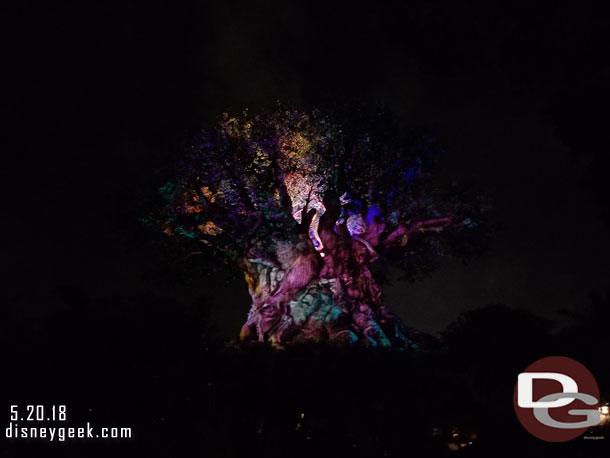 9:24pm..  40 minutes from entering the queue I was passing by the Tree of Life. Figured I would still walk out to Rivers of Light and catch the finale maybe.