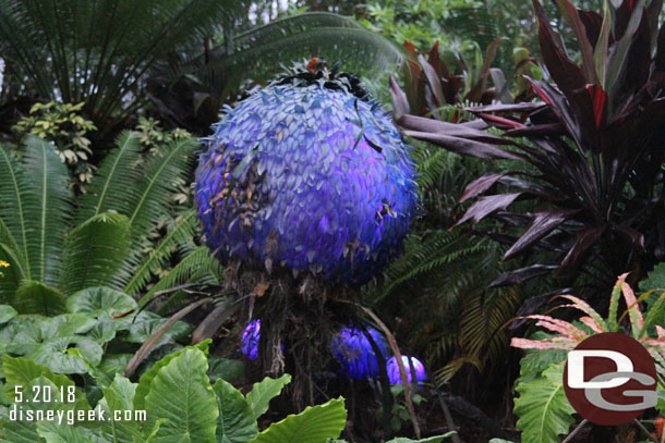 Now several pages of pictures as I roamed around Pandora as the lights started to take effect.