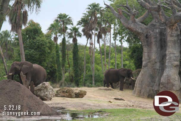 Elephant Country.