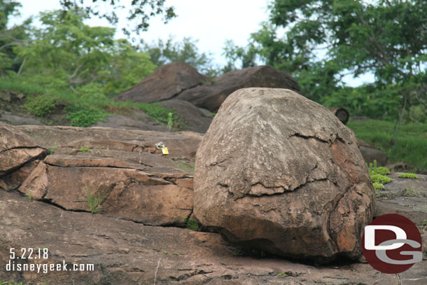 Wonder what the lock and cable are for on the rocks near the lions.