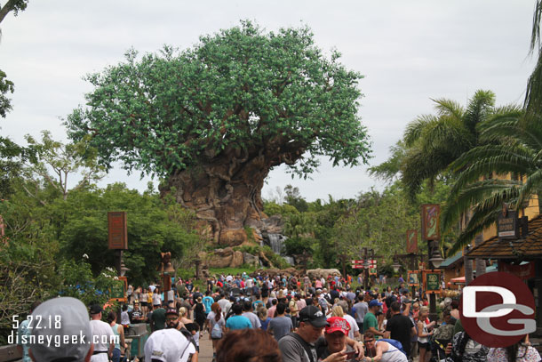 A final look at the Tree of Life as I head out of the park.