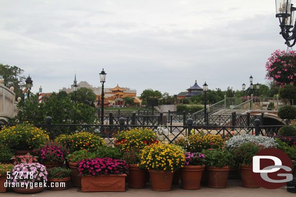 Flowers by Italy.