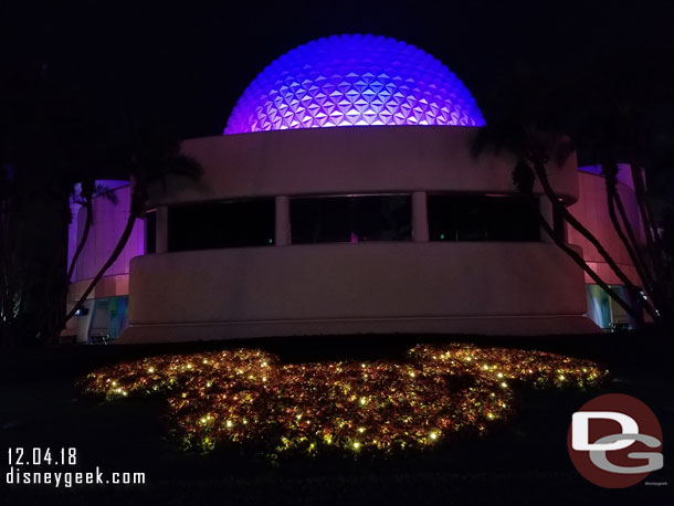 Floral Mickey at night.