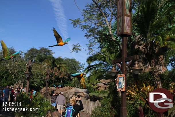 Tried to get into position to get a picture of Winged Encounters (which by the way is not listed on the times guide) but the finale happened too quickly.