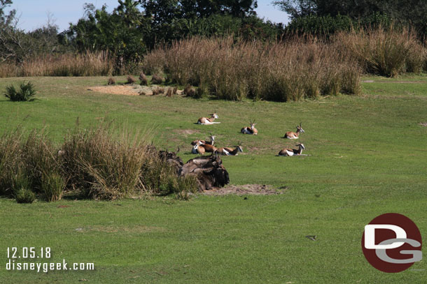 Not a lot of activity this morning, most were just sitting around.