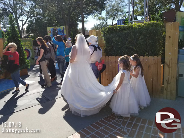 A wedding party passing by to take pictures with the trees.