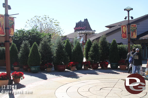 This was different.  Trees blocking the walkway and you had to walk to one side to enter.