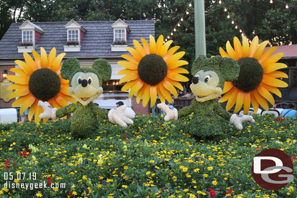 Mickey and Minnie Mouse Topiaries near the American Adventure.