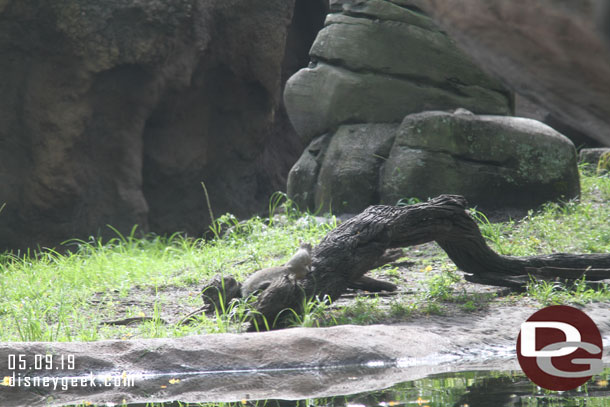 A squirrel was out enjoying the area though.