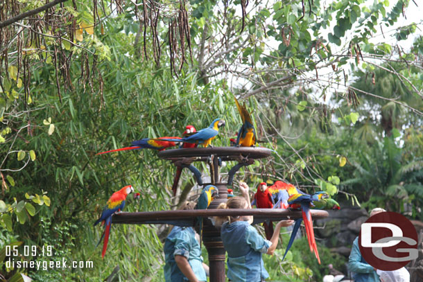 Cast Members talking about the birds.