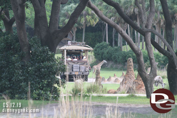 Out on the savanna spotted a young giraffe in the distance.