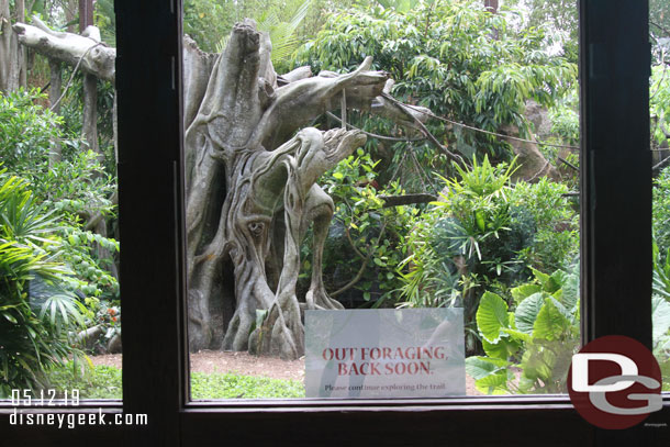 The Lion-Tailed Macaques were not out.