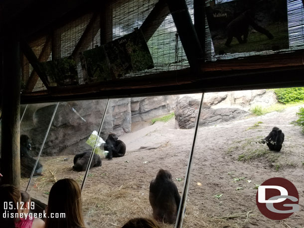 The family troop were gathered near the window.