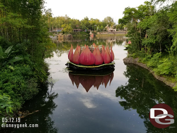 The large lotus blossom unit for Rivers of Light is in position near the Dinoland bridge.