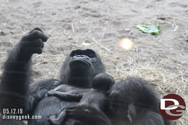 Mother and baby Grace.