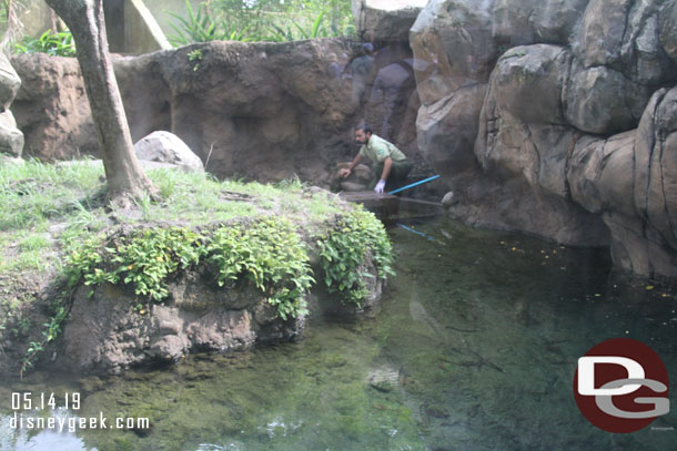 Passing by Otter Grotto, no otters.. just a cast member.