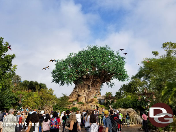 Parrots arriving for a Winged Encounter Experience in the Tree of Life Garden.