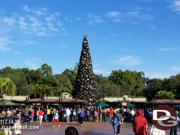 Arriving at Disney's Animal Kingdom.  Next year once security moves further out you should be able to get good views of the Christmas tree and entrance again.